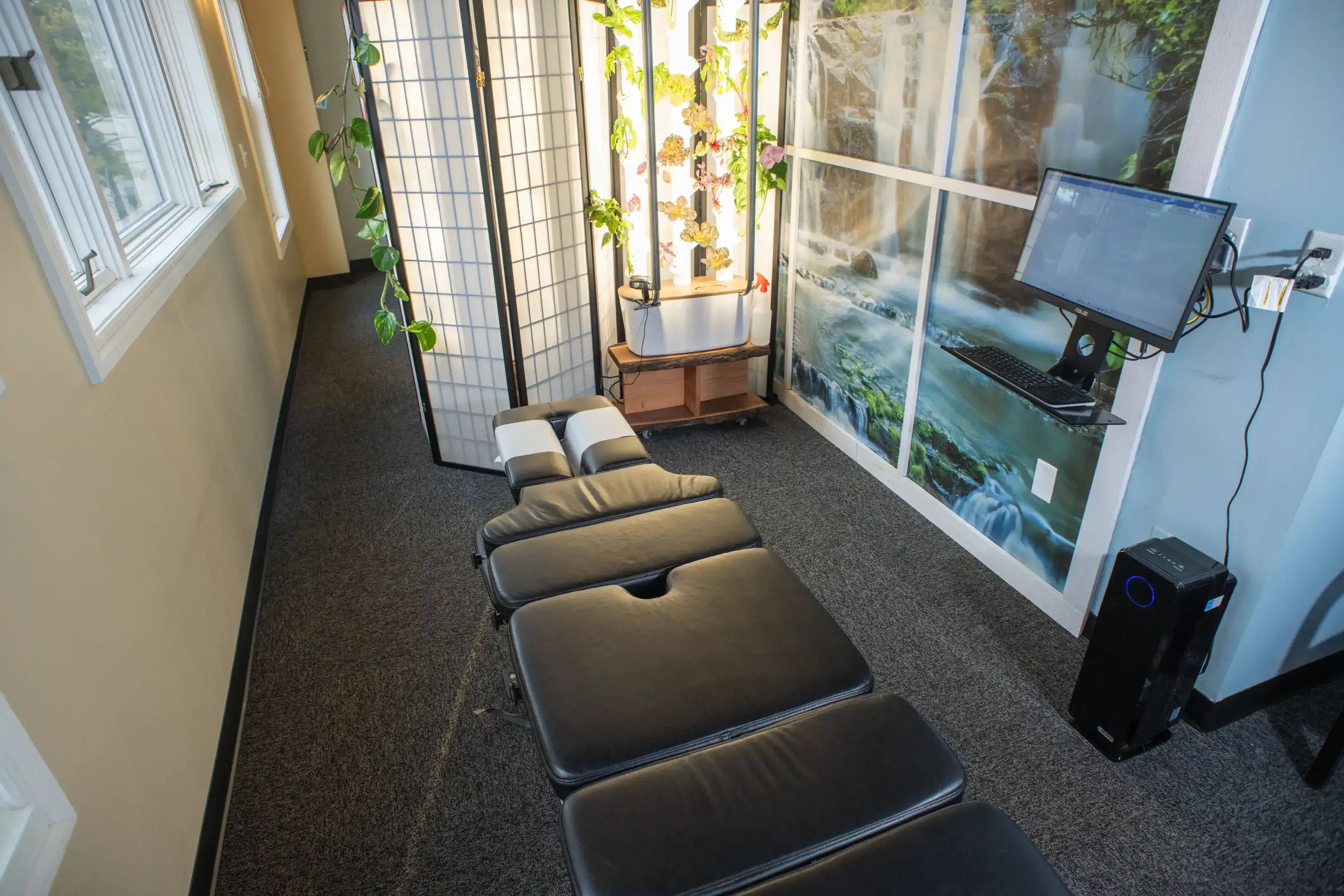 Wellness and healing concept at Precision Chiropractic